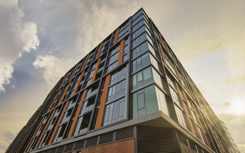 The Wren DC